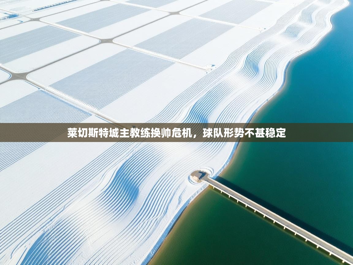 莱切斯特城主教练换帅危机,球队形势不甚稳定 第1张