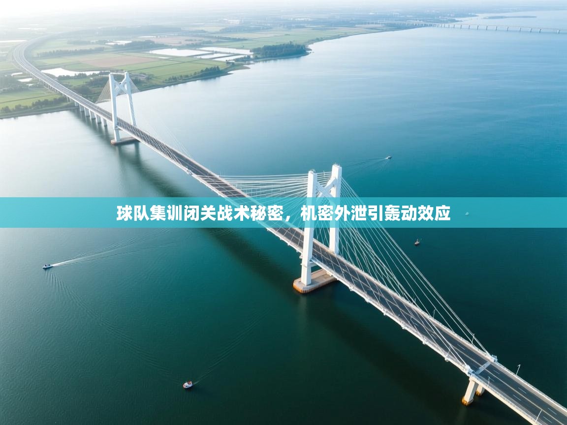 球队集训闭关战术秘密，机密外泄引轰动效应  第2张