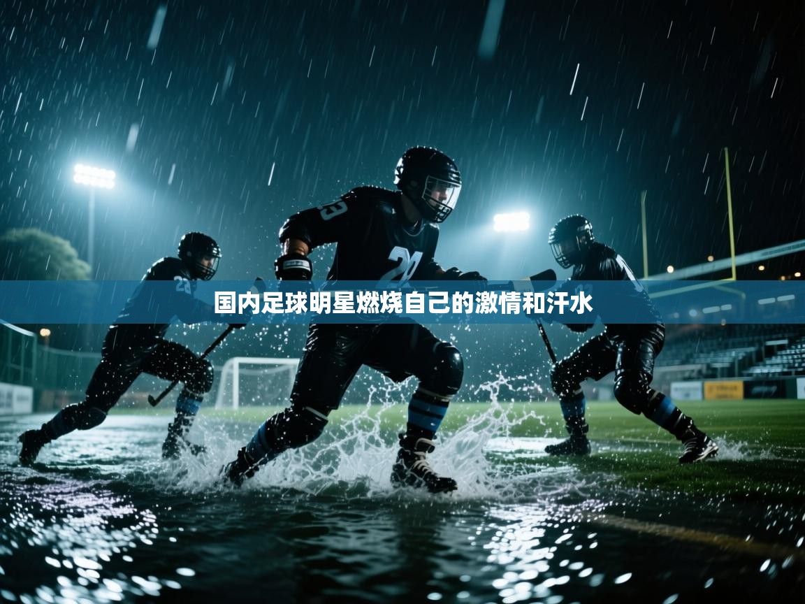国内足球明星燃烧自己的激情和汗水  第2张