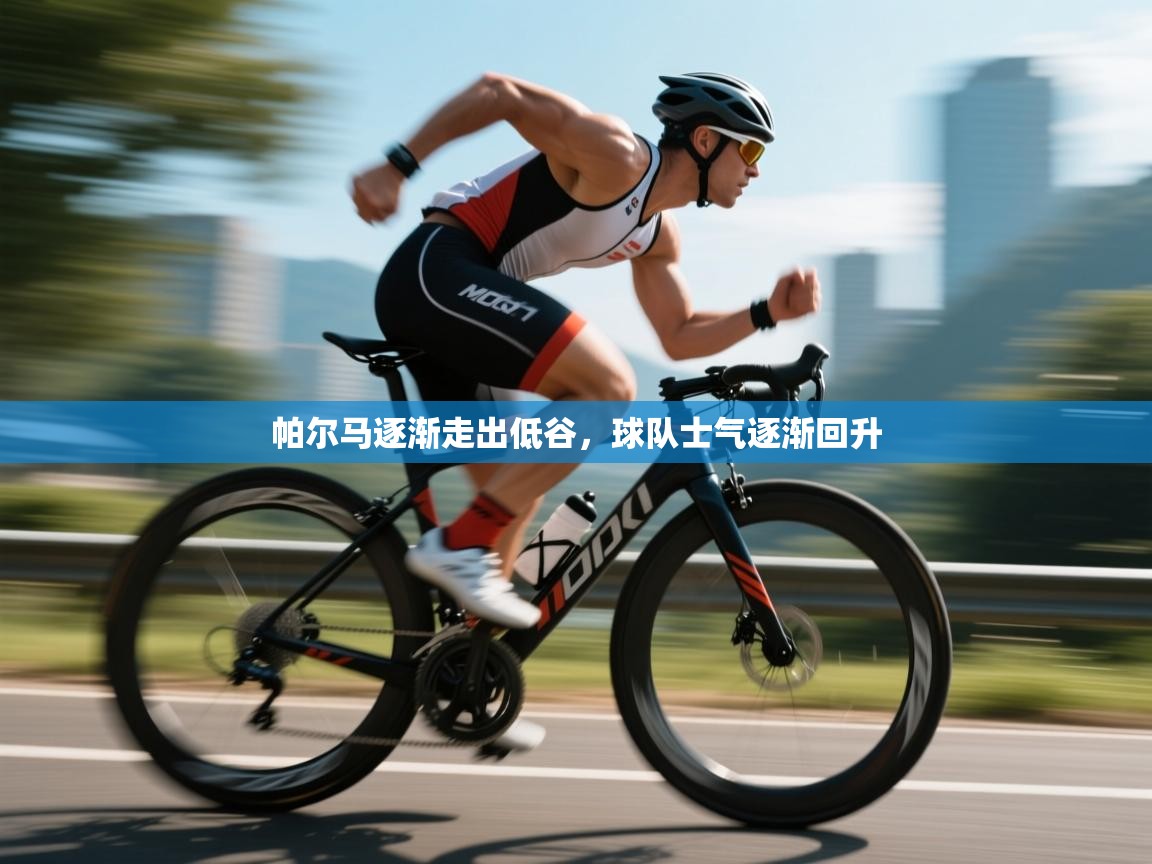 帕尔马逐渐走出低谷，球队士气逐渐回升  第2张