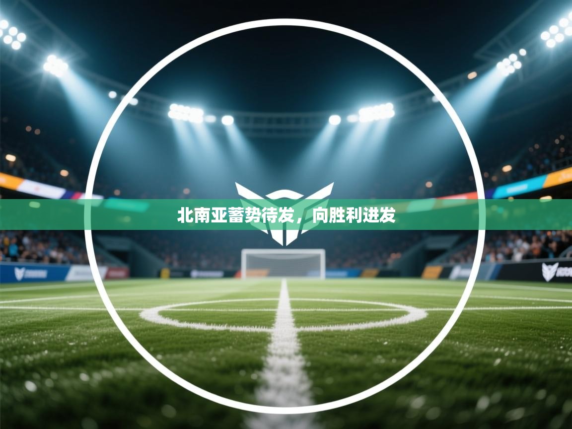 北南亚蓄势待发，向胜利进发  第1张