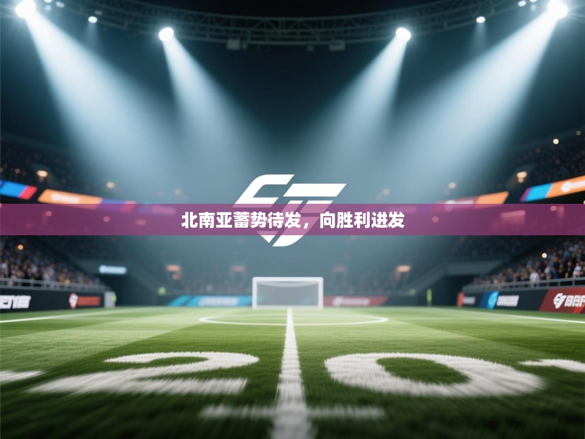 北南亚蓄势待发，向胜利进发  第2张