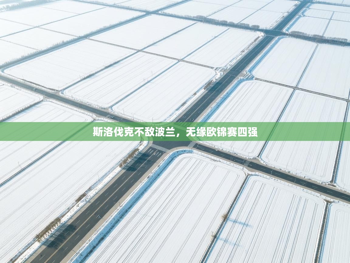 斯洛伐克不敌波兰，无缘欧锦赛四强  第2张