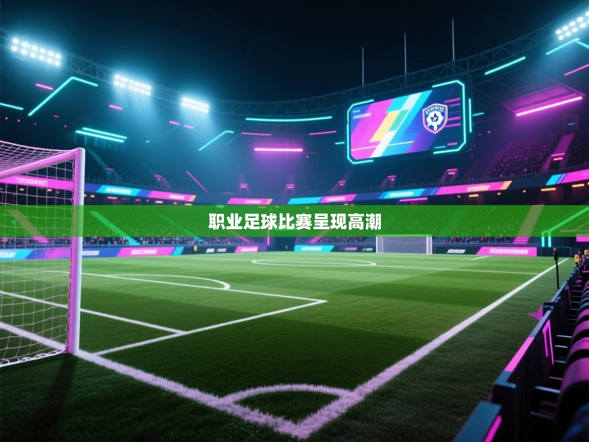职业足球比赛呈现高潮  第1张