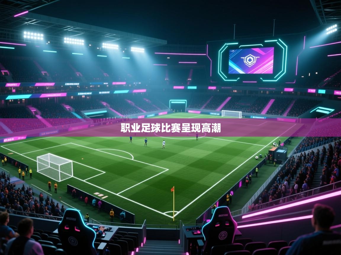 职业足球比赛呈现高潮  第2张
