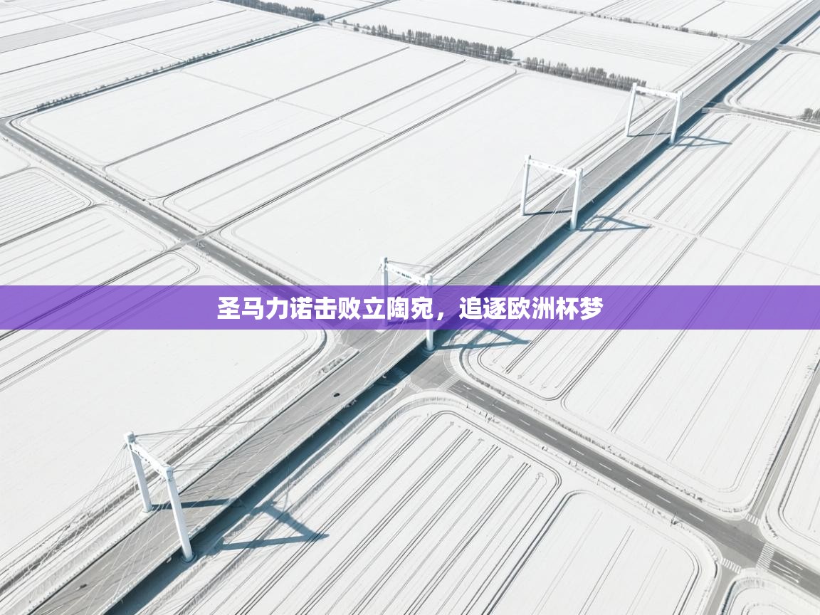 圣马力诺击败立陶宛，追逐欧洲杯梦  第1张