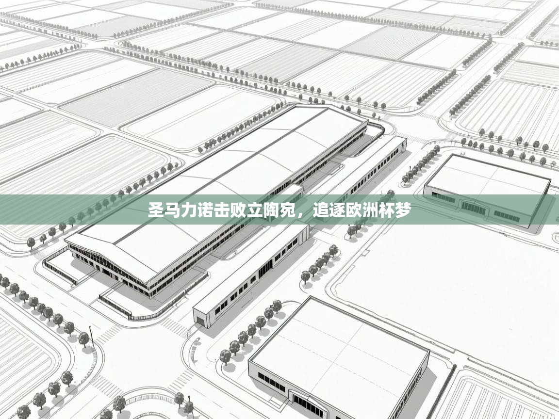 圣马力诺击败立陶宛，追逐欧洲杯梦  第2张