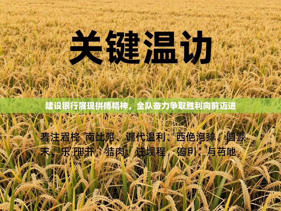 建设银行展现拼搏精神，全队奋力争取胜利向前迈进  第2张