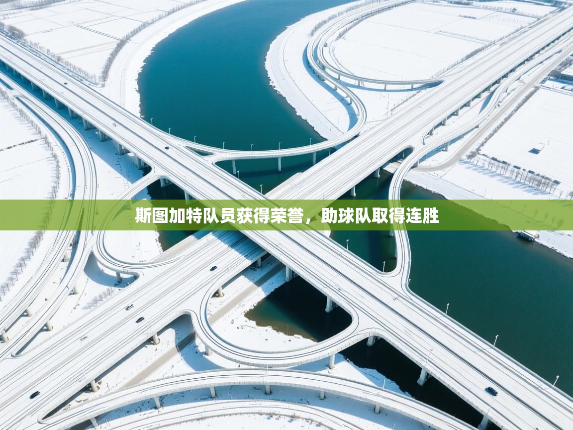 斯图加特队员获得荣誉,助球队取得连胜 第2张