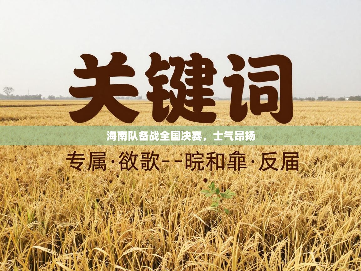 海南队备战全国决赛，士气昂扬  第1张